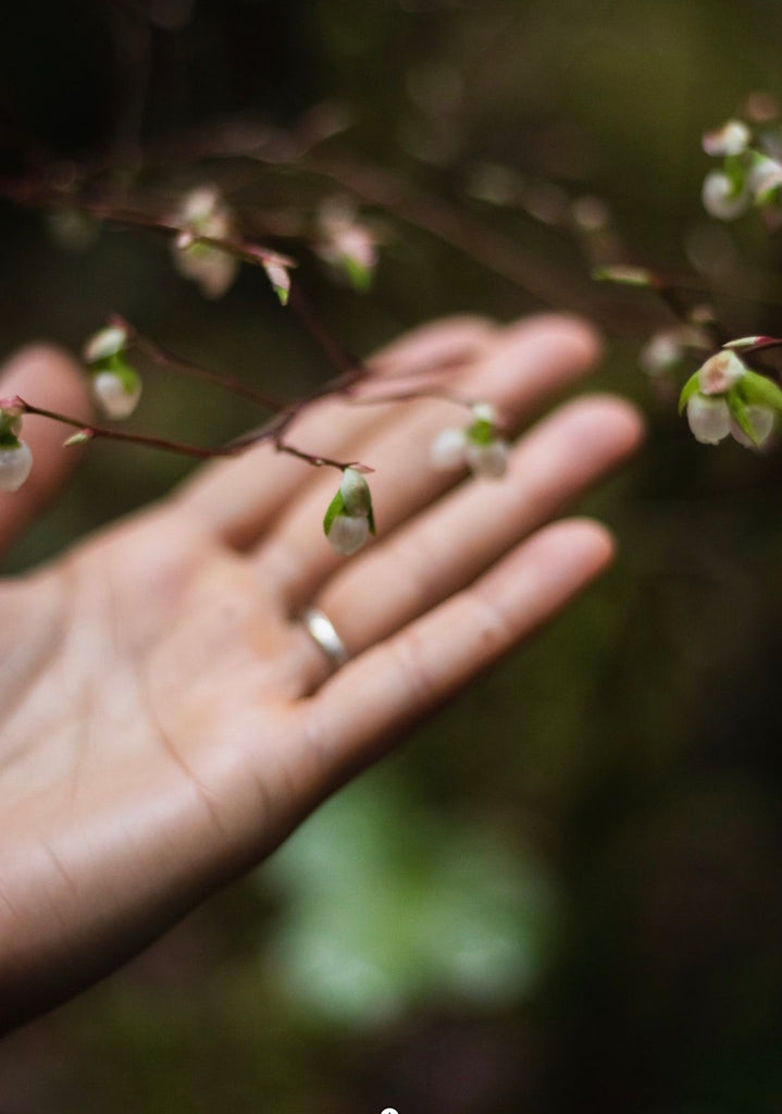 Magnolia Mint Hand Lotion